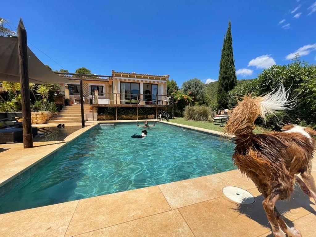 El Paraiso De Los Perros Polop Exteriör bild